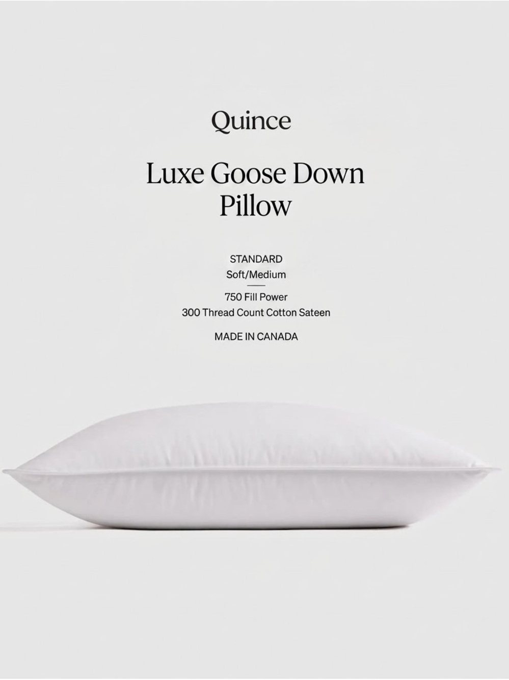 NWT Quince Luxe Goose Down Pillow Standard Medium/Firm 750 Fill Power